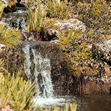 L Etoile Filante - 2 Pieces De Caractere Apartment