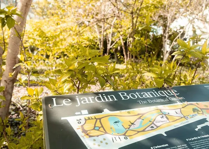 L Etoile Filante - 2 Pieces De Caractere