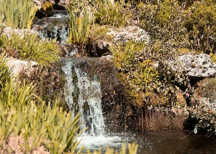 L Etoile Filante - 2 Pieces De Caractere Lägenhet