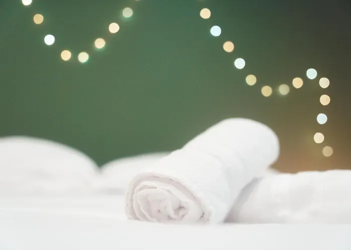 L Etoile Filante - 2 Pieces De Caractere Apartament Tours